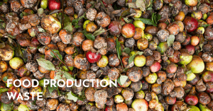 Read more about the article Food Production Waste
